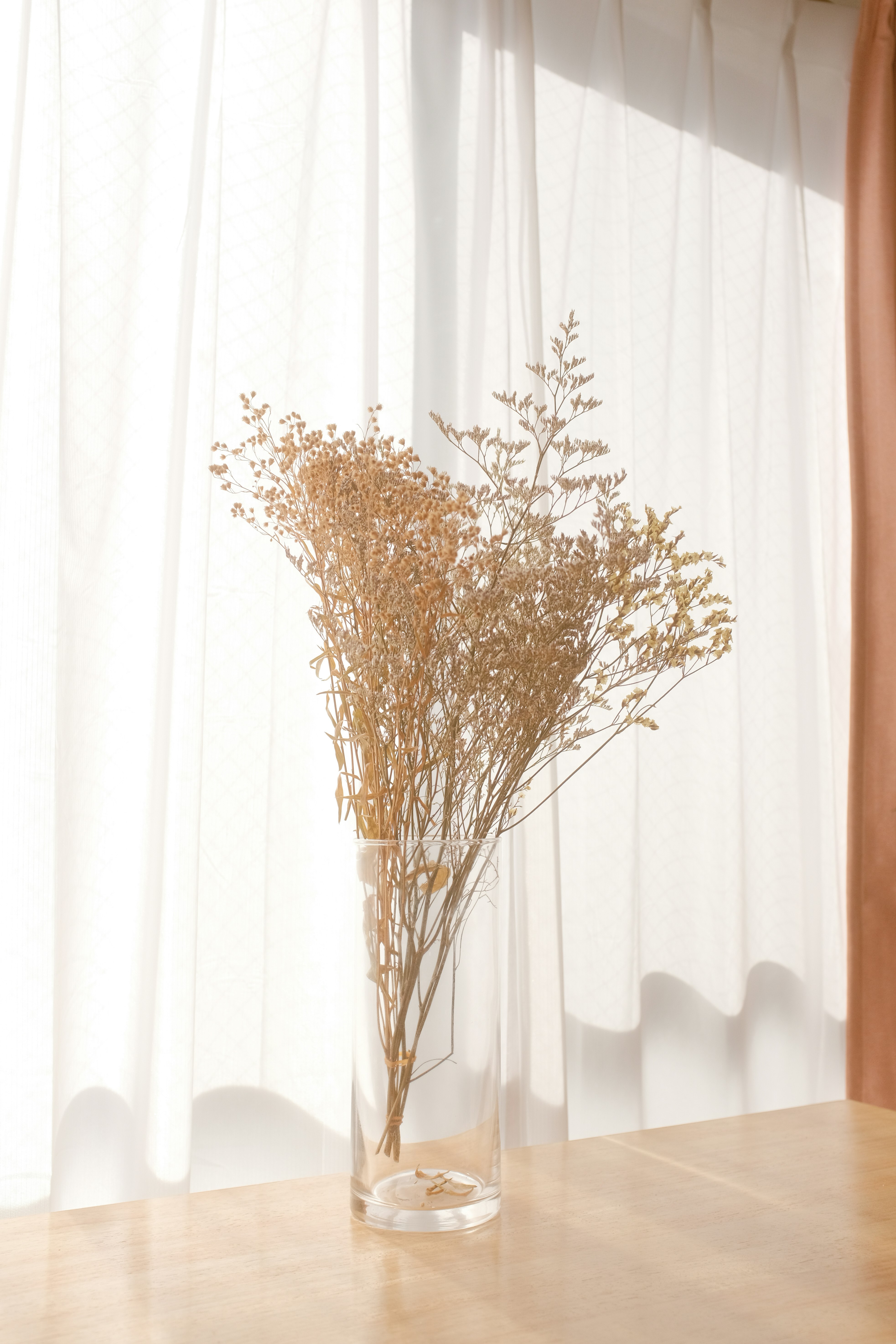 brown leafless tree in front of white curtain